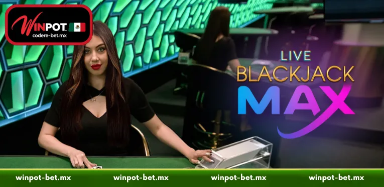 A concise introduction to Blackjack Max