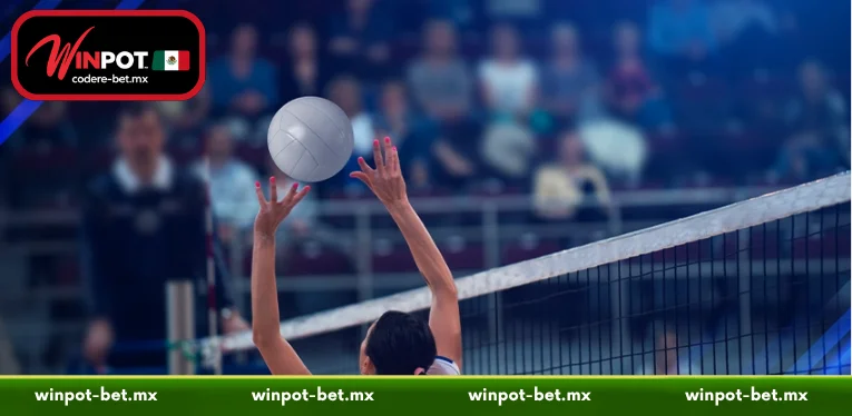 Comprehensive Guide to Volleyball Gambling