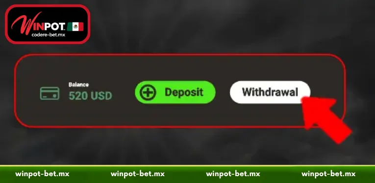 Step-by-Step Guide to Completing Your Winpot Withdrawal Successfully