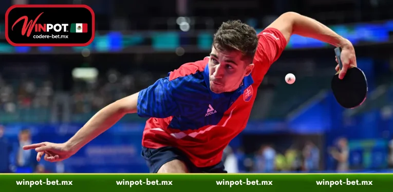 Step-by-Step Table Tennis Betting for Beginners