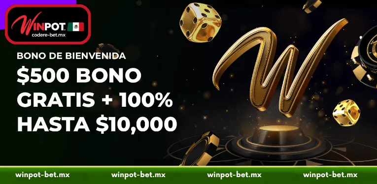 Technical Structure of the Winpot First Deposit Bonus System