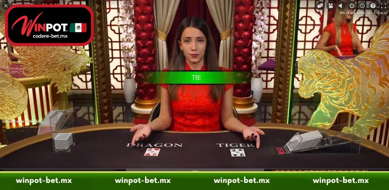 Understanding the Gameplay Mechanics and Rules of Dragon Tiger