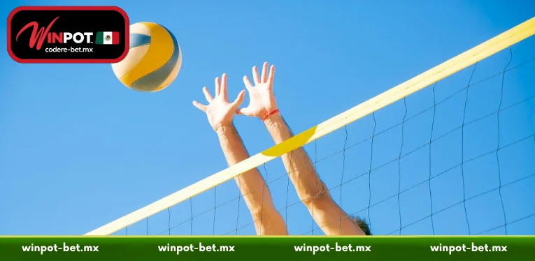 Volleyball Betting: Analyzing Lineups and Player Form