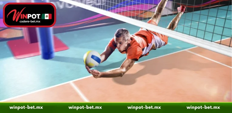 Volleyball Betting - Elite Strategy & 2026 Match Analysis